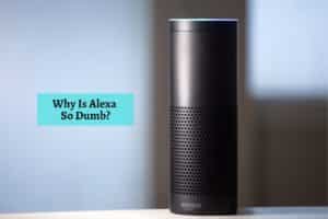 Why Is Alexa So Dumb? - DIY Smart Home Hub