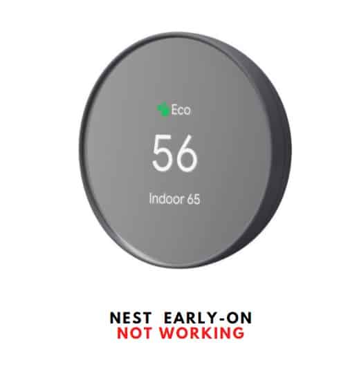 NEST Early-On Not Working