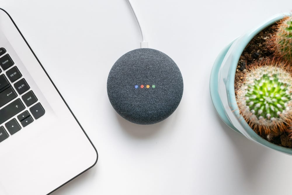 google home
