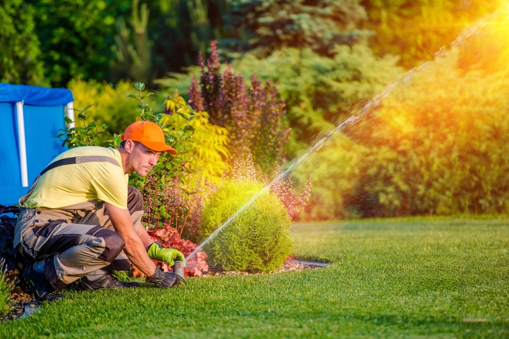 rachio sprinkler system not working in all zones