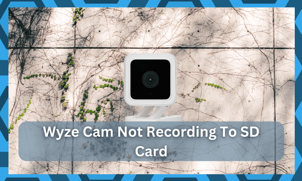 wyze cam not recording to sd card