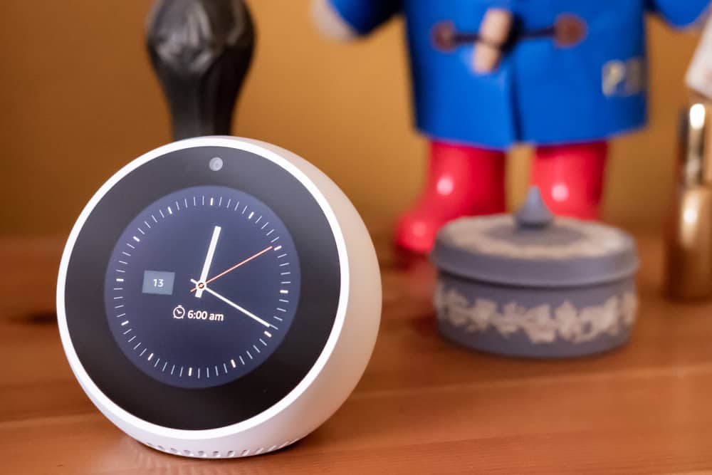 Can You View Echo Spot Camera Remotely DIY Smart Home Hub