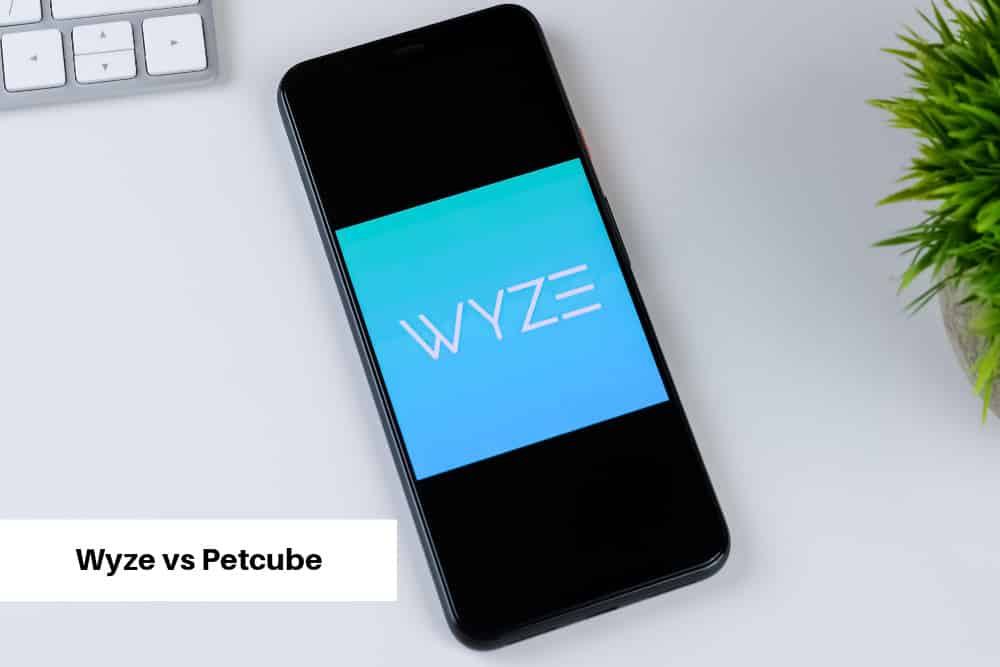 Wyze vs Petcube