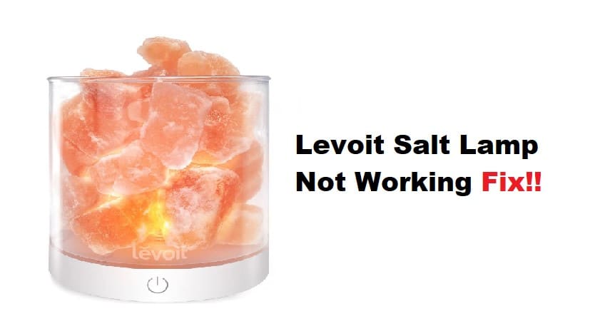 Levoit Salt Lamp Not Working