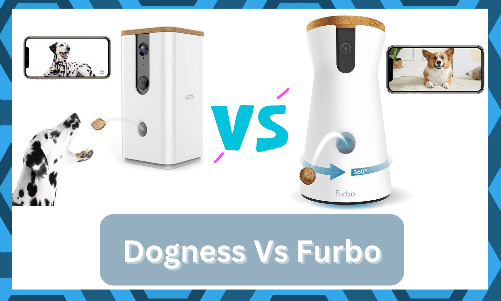 dogness vs furbo