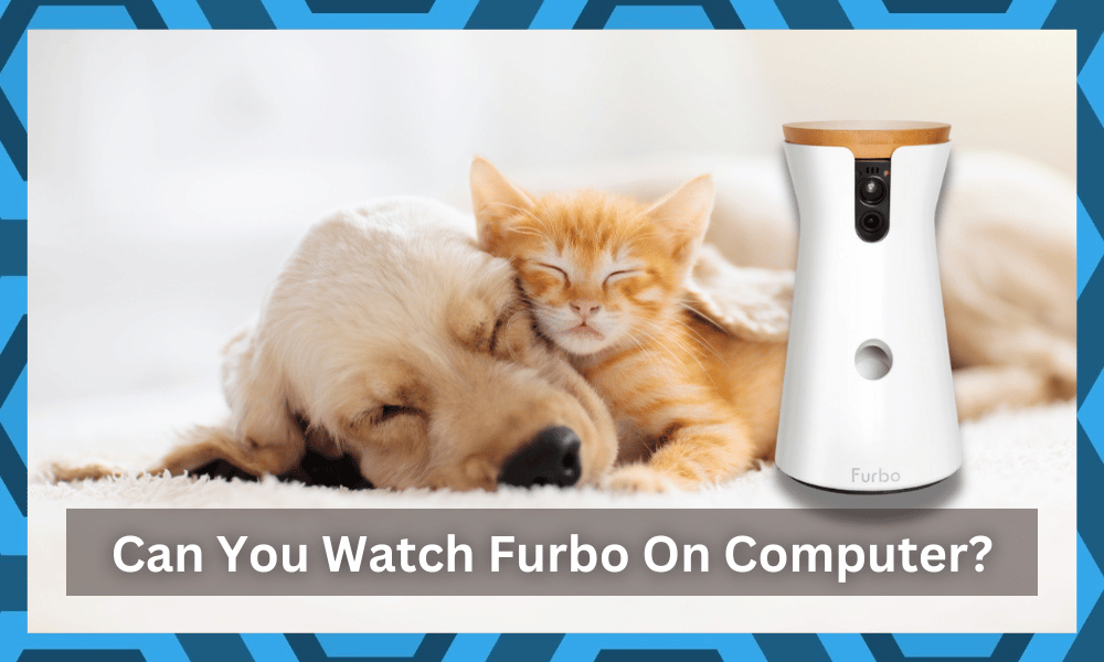 can you watch furbo on computer