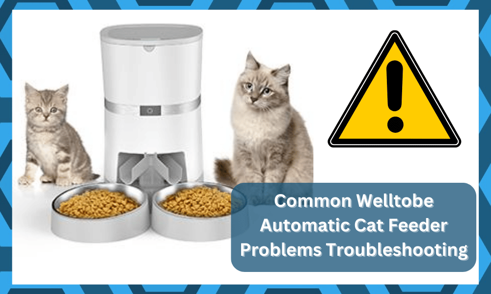 common WellToBe Automatic Cat Feeder problems troubleshooting