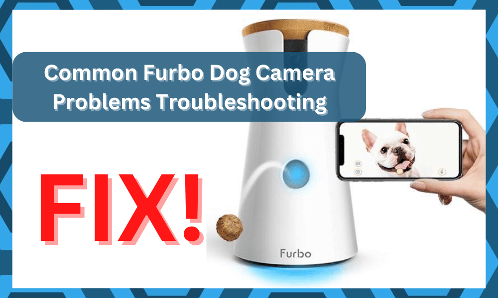 common furbo dog camera problems troubleshooting