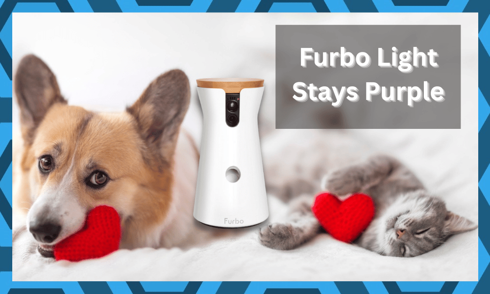 Furbo Light Stays Purple