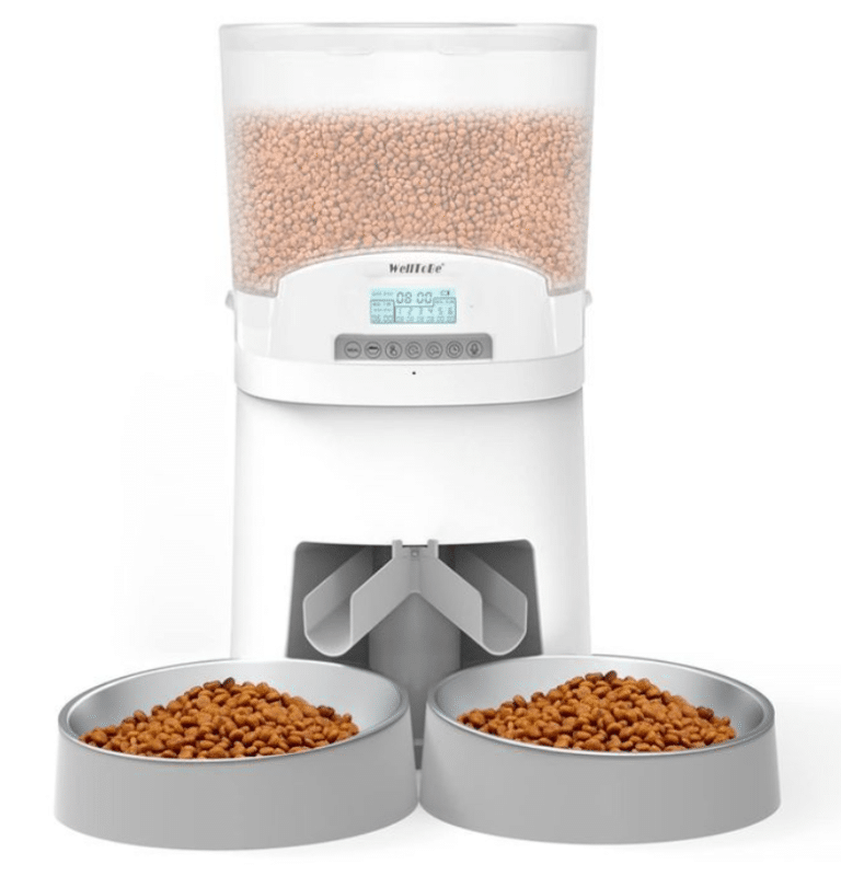 9 Common Welltobe Automatic Cat Feeder Problems Troubleshooting DIY