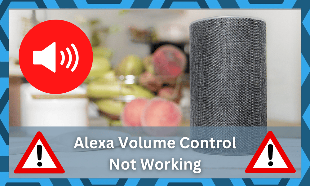 alexa volume control not working