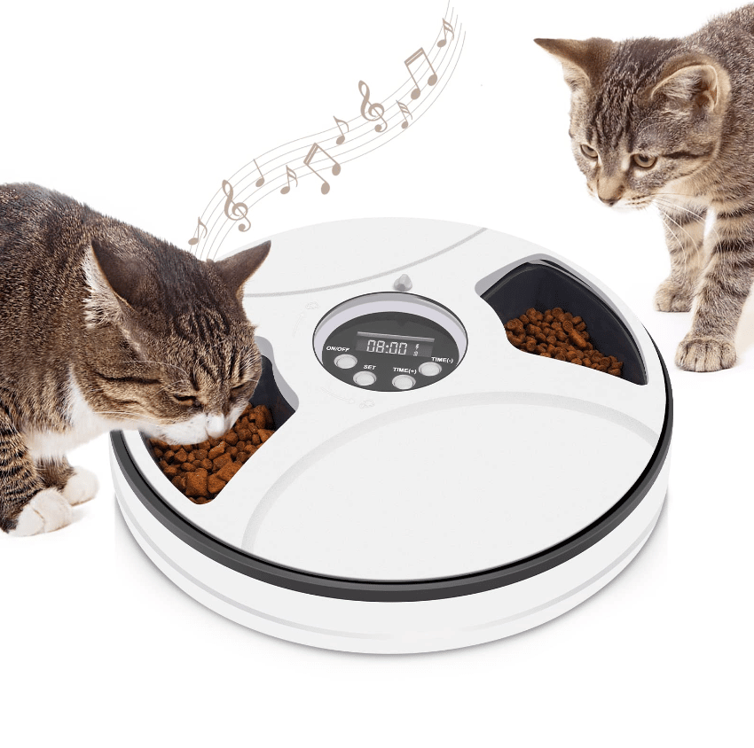chintu cat feeder