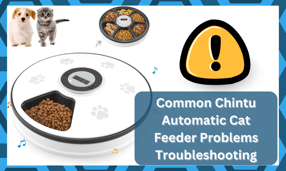common Chintu Automatic Cat Feeder problems troubleshooting