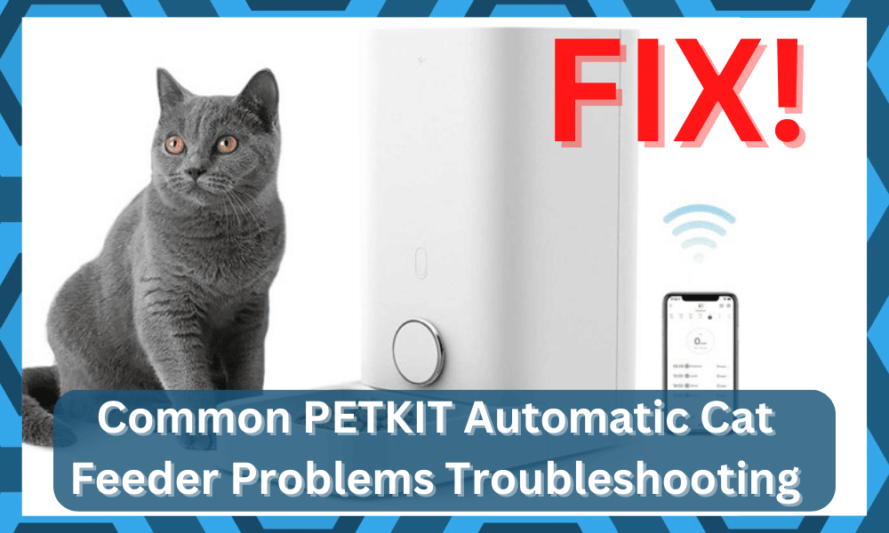 common PETKIT Automatic Cat Feeder problems troubleshooting