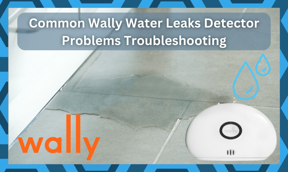 common Wally Water Leaks detector problems troubleshooting