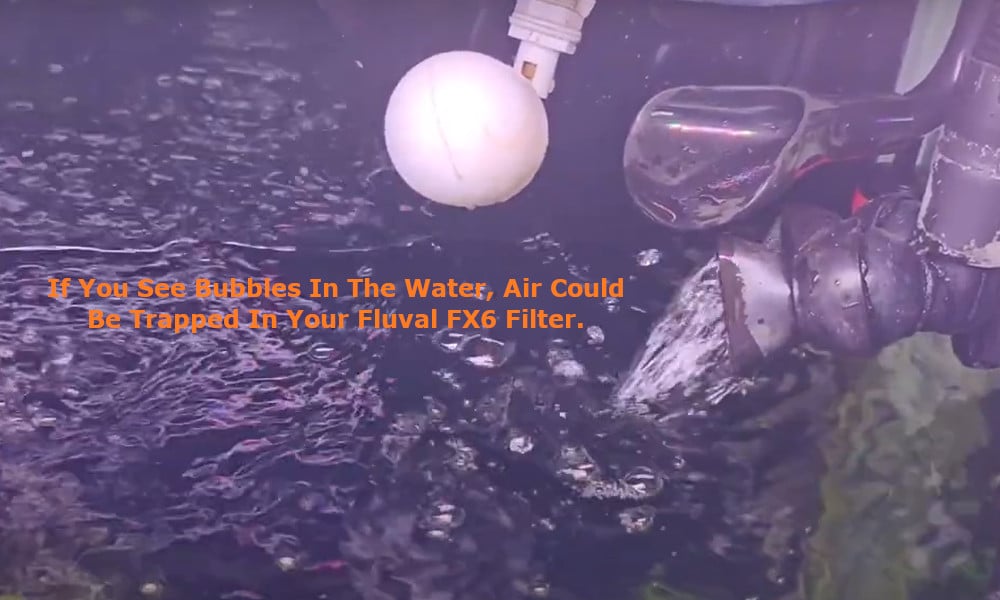 Fluval FX6 Filter bubbles in the water